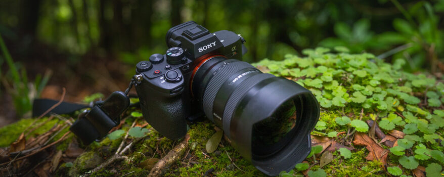 sony alpha 7 r v - fotolandia vicenza